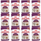 ROYAL CANIN Sensory Taste karma mokra kawałki dla kotów dorosłych 12 x 85 g