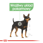 ROYAL CANIN CCN Mini Digestive Care karma sucha dla psów dorosłych 3 kg