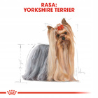 ROYAL CANIN Yorkshire Terrier w formie pasztetu 12 x 85g