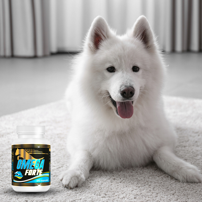 GAME DOG Suplement dla psa Omega Forte witaminy 120 kapsułek