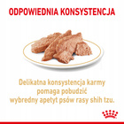 Royal Canin Shih Tzu Adult Wet karma mokra - pasztet 12 x 85g