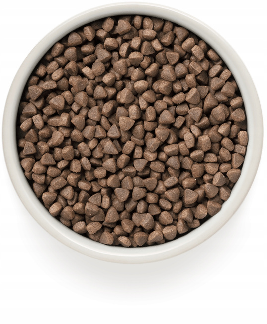 GRANDORF STERILIZED Adult Karma sucha dla kota Królik Indyk 400g