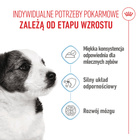 ROYAL CANIN Mini Puppy karma mokra w sosie dla szczeniąt 12 x 85 g