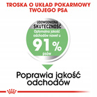 ROYAL CANIN CCN Medium Digestive Care karma sucha dla psów dorosłych 12 kg