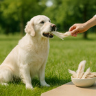 GACZOO 100% Naturalny przysmak dla psa Ucho Królicze z futrem 10 szt gryzak