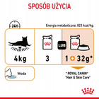ROYAL CANIN Hair&Skin Jelly karma mokra w galaretce dla kota 24 x 85g