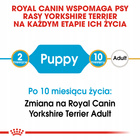 ROYAL CANIN Yorkshire Terrier Puppy karma sucha dla szczeniąt 1,5 kg