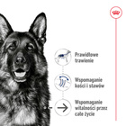 ROYAL CANIN Maxi Ageing 8+ karma sucha dla psów starszych, ras dużych 15 kg
