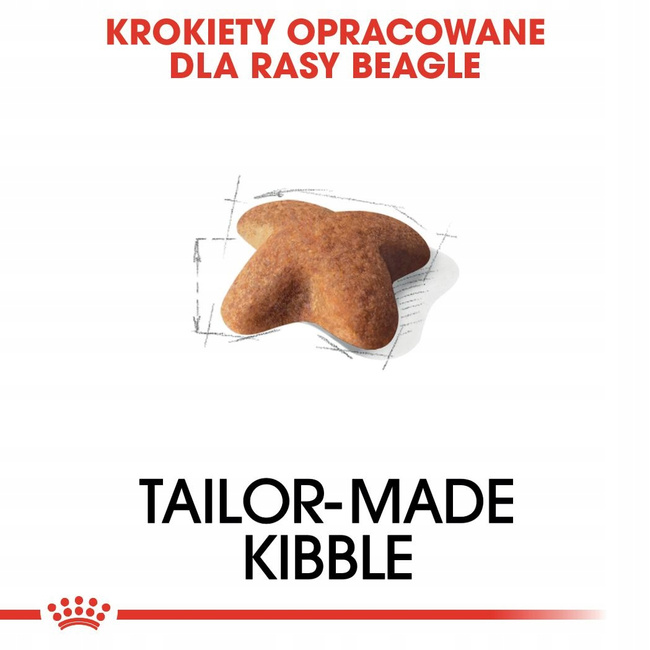 ROYAL CANIN Beagle Adult karma sucha dla psów dorosłych rasy beagle 12 kg