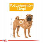 ROYAL CANIN CCN Medium Dermacomfort karma sucha dla psów dorosłych 12 kg