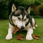 GACZOO 100% Naturalny przysmak dla psa Ucho Wieprzowe rozmiar M 20 szt gryzak