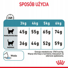 ROYAL CANIN Feline Care Nutrition Relaunch - Hairball Care - Dry 10 kg