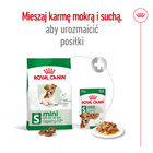 ROYAL CANIN Mini Ageing 12+ karma sucha dla psów dojrzałych 0,8 kg