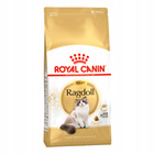 ROYAL CANIN Ragdol Adult karma sucha dla kotów dorosłych 10 kg