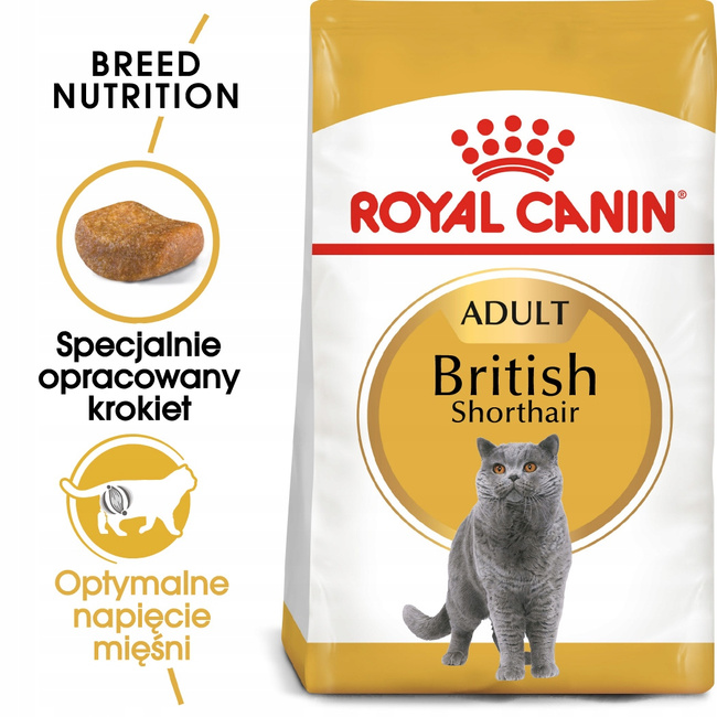 ROYAL CANIN British Shorthair karma sucha dla kotów dorosłych 4kg