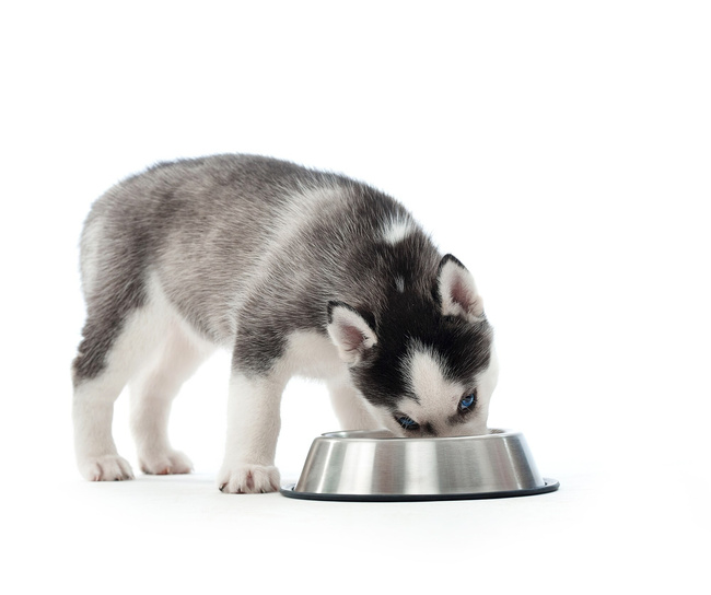 WIEJSKA ZAGRODA Karma mokra dla szczeniąt Mięsna Uczta 800g