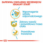 ROYAL CANIN Labrador Retriever Puppy karma sucha dla szczeniąt 12 kg