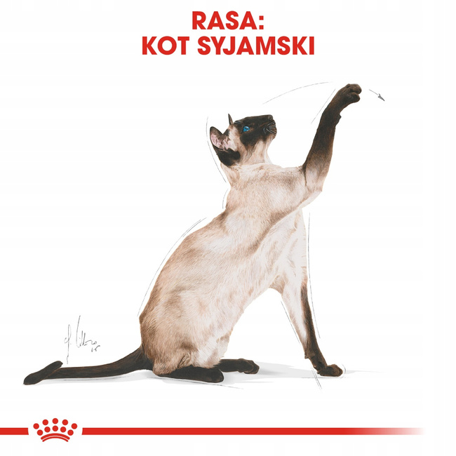 ROYAL CANIN Siamese Adult karma sucha dla kotów dorosłych 2 kg