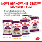 ROYAL CANIN Sensory Feel karma mokra kawałki dla kotów dorosłych 12 x 85 g