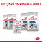 ROYAL CANIN CCN Light Weight Care karma mokra - pasztet dla psów 12 x 85g