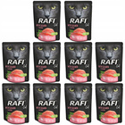 RAFI CAT Karma mokra dla kota Dolina Noteci Łosoś 10 x 300g