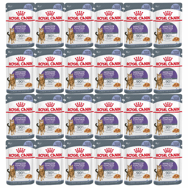 ROYAL CANIN Appetite Control Jelly karma mokra galaretka dla kota 24 x 85g