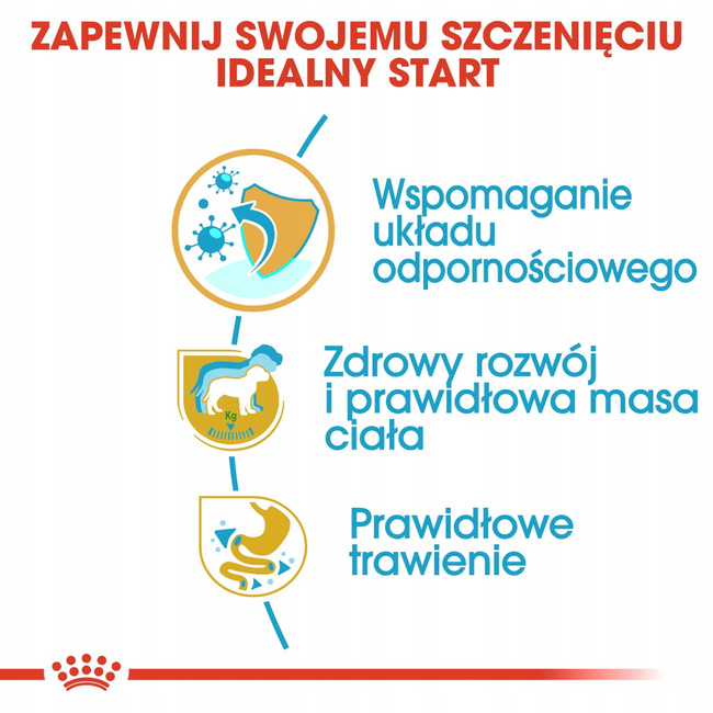 ROYAL CANIN Labrador Retriever Puppy karma sucha dla szczeniąt 12 kg