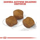ROYAL CANIN CCN Medium Dental Care karma sucha dla psów dorosłych 10 kg