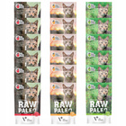 Raw Paleo Sterilised Karma mokra dla koat mix smaków 18 x 100g Bezzbożowa