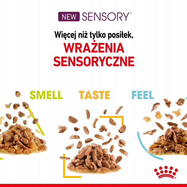 ROYAL CANIN Sensory Smell, Taste, Feel karma mokra dla kotów 3 x 4 x 85 g