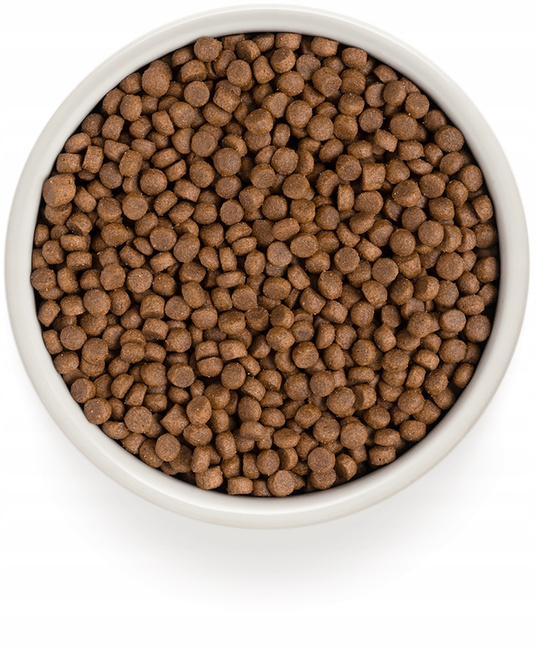 GRANDORF STERILIZED Adult Karma sucha dla kota 4 meat 400g Bezzbożowa