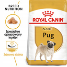 ROYAL CANIN Pug Adult karma sucha dla psów dorosłych rasy mops 1,5 kg