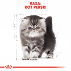ROYAL CANIN Persian Kitten karma sucha dla kociąt 0,4 kg