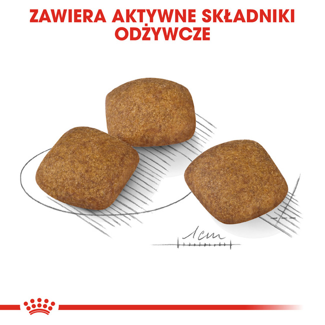 ROYAL CANIN CCN Medium Relax Care karma sucha dla psów dorosłych 10 kg