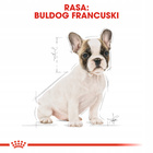 ROYAL CANIN French Bulldog Puppy karma sucha dla szczeniąt 3 kg