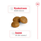 Royal Canin X - small Adult karma sucha dla psów dorosłych 3 kg