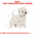 ROYAL CANIN West Highland White Terrier Adult karma sucha 3 kg