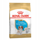 ROYAL CANIN Cavalier King Charles Spaniel Puppy karma sucha 1,5 kg