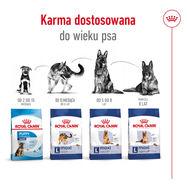 ROYAL CANIN Maxi Ageing 8+ karma sucha dla psów starszych, ras dużych 15 kg