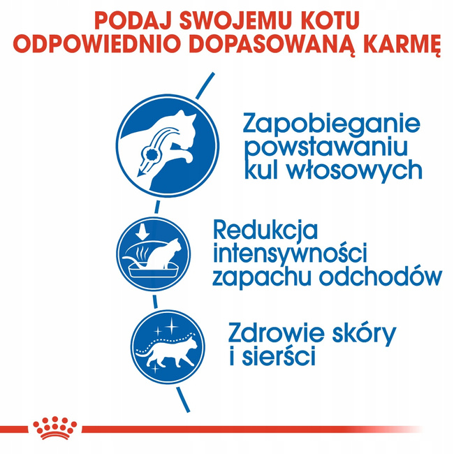 ROYAL CANIN Indoor Long Hair karma sucha dla kotów dorosłych 2 kg