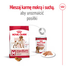 ROYAL CANIN Medium Adult karma sucha dla psów dorosłych, ras średnich 15 kg