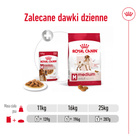 ROYAL CANIN Medium Adult karma mokra w sosie dla psów dorosłych 10 x 140 g