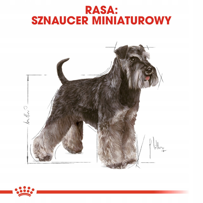 ROYAL CANIN Miniature Schnauzer Adult karma sucha dla psów dorosłych 3 kg