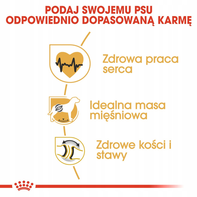 ROYAL CANIN Rottweiler Adult karma sucha dla psów dorosłych 12 kg
