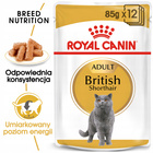 ROYAL CANIN British Shorthair Gravy karma mokra w sosie dla kotów 24 x 85g