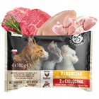 PET REPUBLIC Mix Smaków mięsny karma dla kota mokra saszetka 16 x 100g