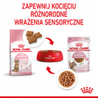 ROYAL CANIN Kitten Sterilised karma mokra w sosie dla kociąt 12 x 85 g