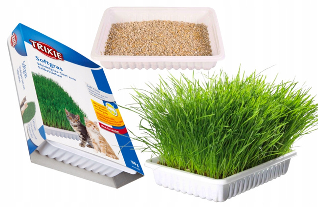 TRIXIE TRAWA DLA KOTA W POJEMNIKU 100G