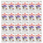 ROYAL CANIN Sterilised Gravy karma mokra w sosie dla kota 24 x 85g