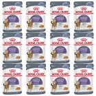 ROYAL CANIN Feline Care Nutrition - Appetite Control Care Jelly 12 x 85 g